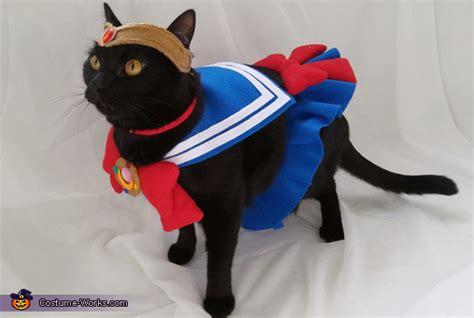 sailor costume cat|Amazon.com: Sailor Moon Cat Costume.